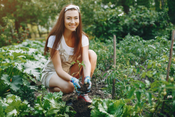 Plants that hate wood ash: A complete guide for gardeners - Hint Genius